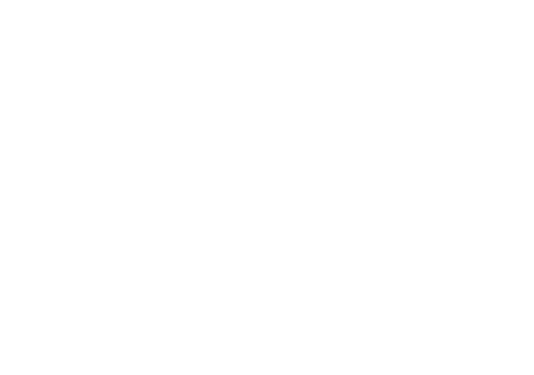 She Parrot — Producción Creativa